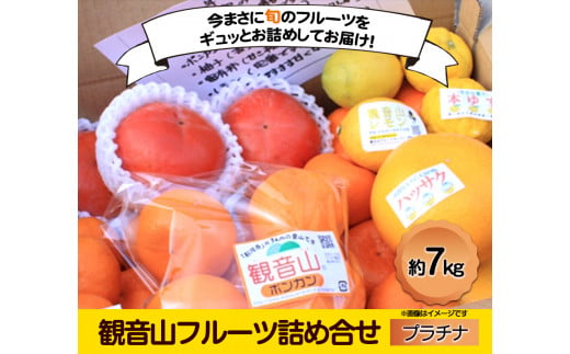 観音山フルーツ詰め合わせ(プラチナ) 約7kg 有限会社柑香園 《60日以内に順次出荷(土日祝除く)》 和歌山県 紀の川市 フルーツ 果物