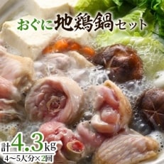 おぐに地鶏鍋セット(4～5人分×2回)