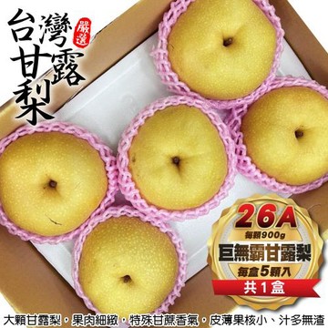 果物樂園-東勢26A巨無霸甘露梨禮盒(5顆_每顆900g/盒)