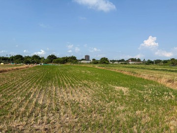 大竹美農地,近大竹交流道,節稅首選｜桃園市蘆竹區宏昌段