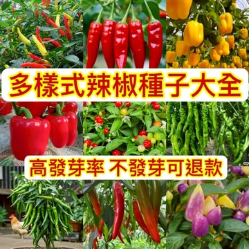 現貨💥 【多樣式辣椒種子大全】（100粒）七彩辣椒朝天椒 辣椒 朝天椒螺絲 甜椒七彩椒種子 蔬菜種籽 室內陽台庭院種植