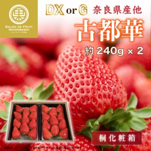 [予約 2024年1月5日-1月30日の納品] 古都華 大粒サイズ DX または G 約240g×2 奈良県産ほか 桐箱 高糖度 イチゴ いちご 苺 ブランドいち