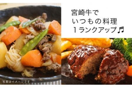 宮崎牛 こま肉とミンチのセット 1kg