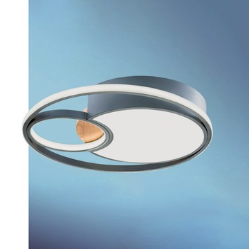 39-68W 遙控吸頂燈 B102-13-64225 64226