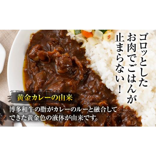 ふるさと納税 福岡県 田川市 博多和牛　黄金カレー