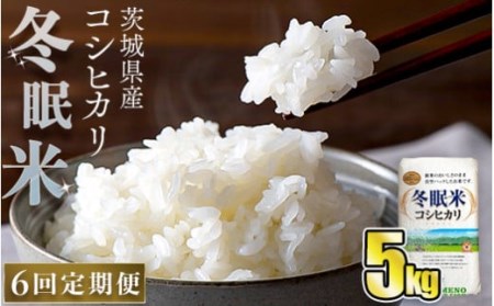 令和5年産 コシヒカリ 冬眠米 5kg×6回 計30kg 定期便 茨城県産 白米 精米 ごはん お米 冬眠 とうみんまい ブランド米 検査米 単一原料米 国産 守谷市 送料無料