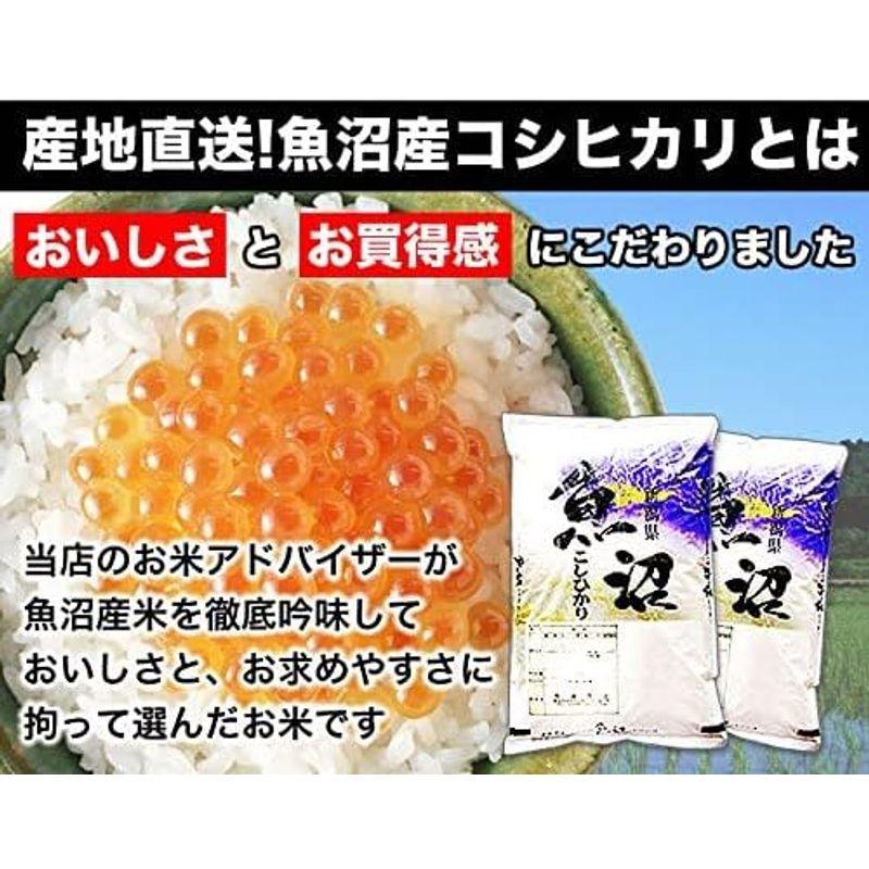 新潟県産 魚沼産コシヒカリ 白米 10kg (5kg×2 袋) 令和4年産