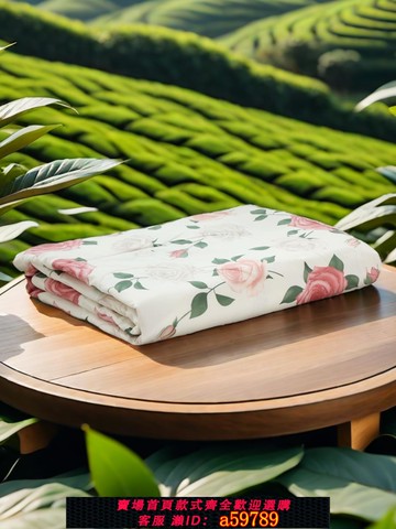 【台灣公司 可打統編】輯里蠶絲被夏被空調被夏天兒童被芯絲棉被薄被子單人夏涼被可機洗