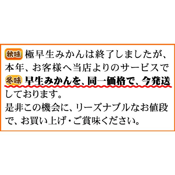 ★本日ポイント10倍★冬味・えひめ西宇和みかん！美味しいみかんと言えば！えひめ西宇和みかん！10ｋｇで2,780円！最安値に挑戦　訳あり愛媛産