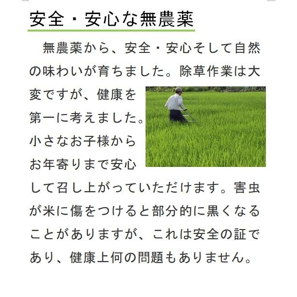 令和5年産  コシヒカリ  自然栽培  無農薬  無肥料  天日干し  玄米25kg