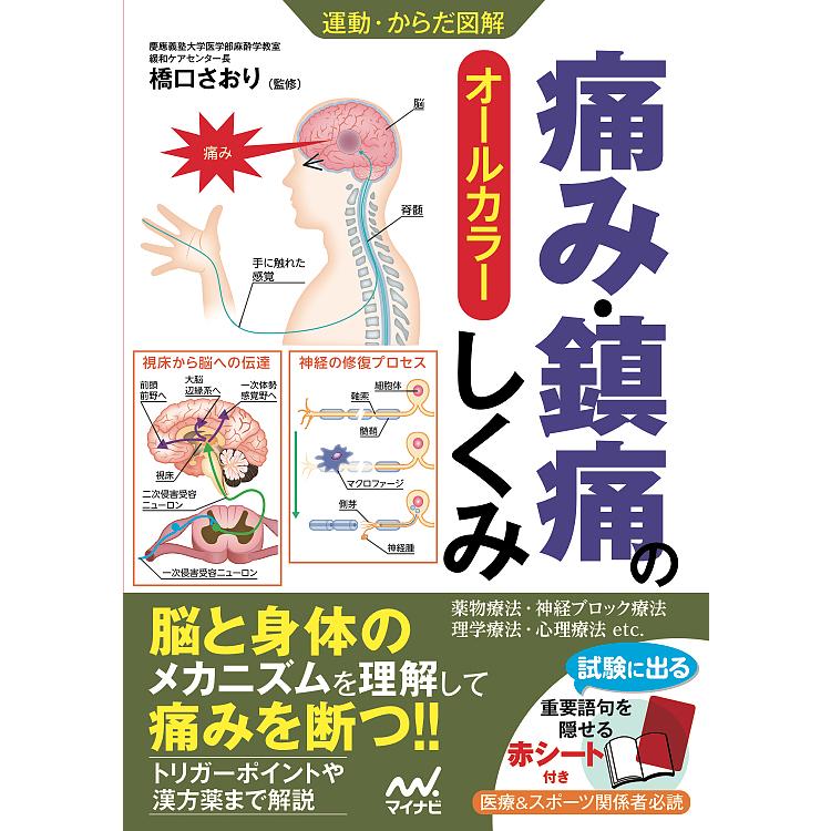 運動・からだ図解 痛み・鎮痛のしくみ