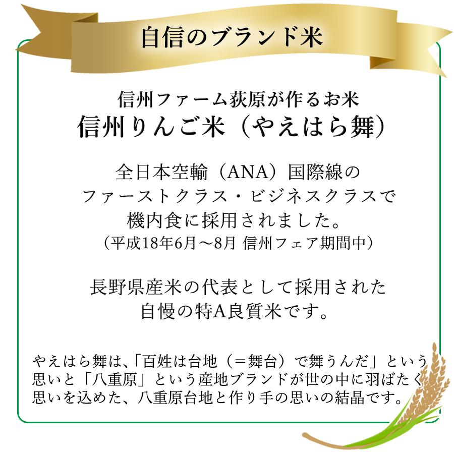 新米 米 お米 10kg 信州りんご米 コシヒカリ  無農薬 無化学肥料 特別栽培米 令和5年産 長野県産 こしひかり ご飯 精米 分付き やえはら舞