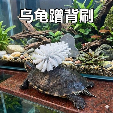 【48時熱賣】烏龜刷背刷刷背神器吸盤式洗碗刷洗澡蹭背刷子爬寵多功能清潔刷子