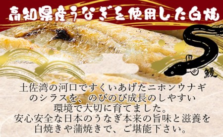 吉川水産 高知県産うなぎの白焼特大サイズ(180～210g)×1尾 タレ付き 自宅用エコ包装 yw-0042