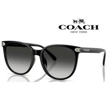 【COACH】亞洲版 太陽眼鏡 框面精緻水鑽設計 HC8414BD 50023C 黑框漸層灰鏡片 公司貨(加贈掛式眼鏡袋)