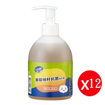 南僑水晶葡萄柚籽抗菌洗手液320g*12瓶_廠商直送
