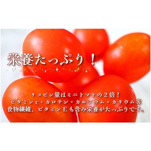 ふるさと納税 和歌山県 印南町 和歌山産ミニトマト「アイコトマト」約2kg（S・Mサイズおまかせ）