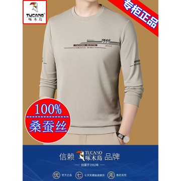 啄木鳥桑蠶絲長袖t恤男士2024新款圓領衛衣男春秋寬松打底體恤衫T