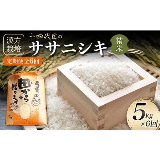 ふるさと納税 山形県 新庄市 令和5年産 漢方栽培 十四代目のササニシキ 5kg（精米）全6回 米 お米 おこめ 山形県 新庄市 F3S-1701