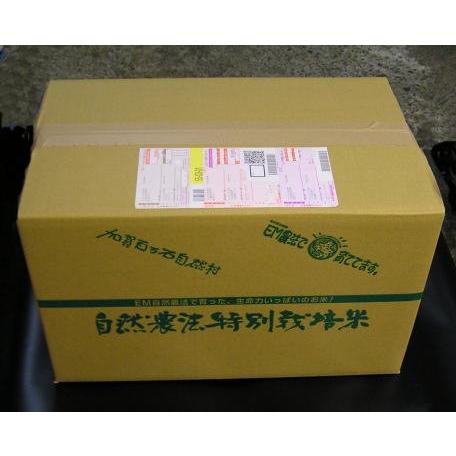 令和5年産 新米 石川県 加賀百万石 厳選コシヒカリ 食用玄米 20kg
