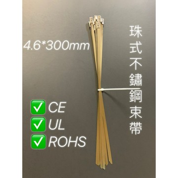 (台灣上市子公司製)304/1pcs/不鏽鋼束帶/不銹鋼扎線帶/白鐵束帶/白鐵扎線帶/白鐵/白鐵固定帶/4.6*300