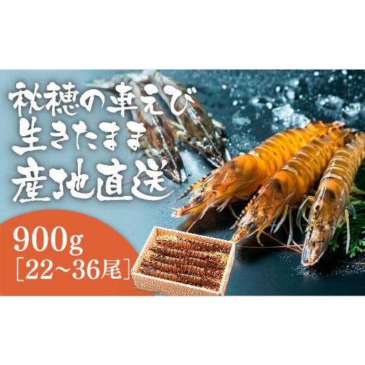 ふるさと納税 山口県 山口市 C-004 活きあいおえび900g（22〜36尾）