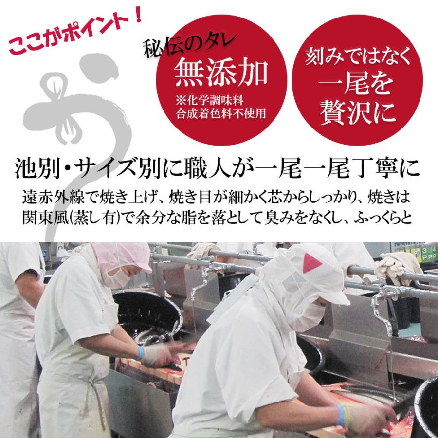 うなぎ 超特大 国産 蒲焼き 鰻 開き お取り寄せ ギフト お歳暮 2023 冬ギフト プレゼント 贈り物 美味しい タレ 鹿児島 お得 250g 1尾