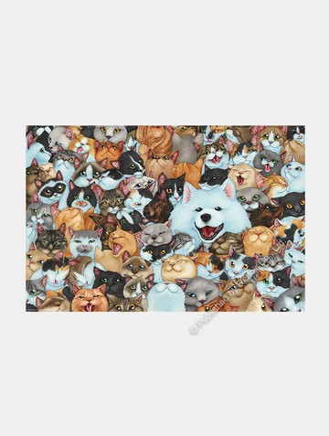 小黑在哪兒？/1008片/貓瘋子