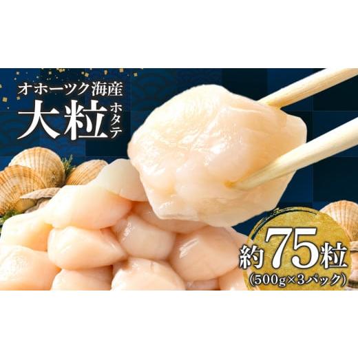 ふるさと納税 北海道 浜頓別町 ほたて 貝柱 大粒 冷凍 500ｇ(20〜25粒前後)×3パック お取り寄せ 刺身  《横田水産》