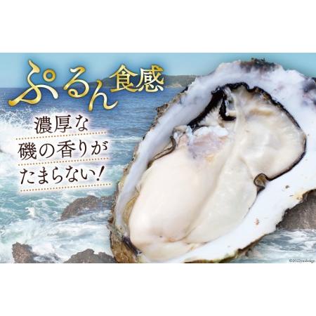 ふるさと納税  牡蠣 3〜4年モノ 生食 殻付き牡蠣 約3kg(約16-18個入) [住喜水産 宮城県 気仙沼市 20562726] 期間限定 冷蔵 新鮮.. 宮城県気仙沼市