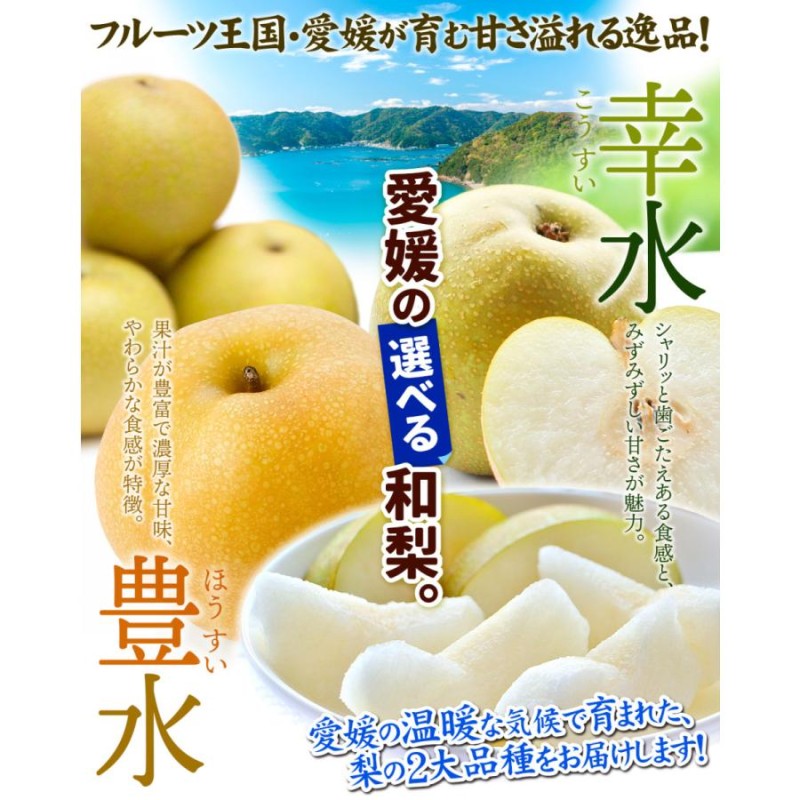 数量限定）梨 えらべる 10kg 愛媛産 幸水/豊水 品種が選べる ご家庭用