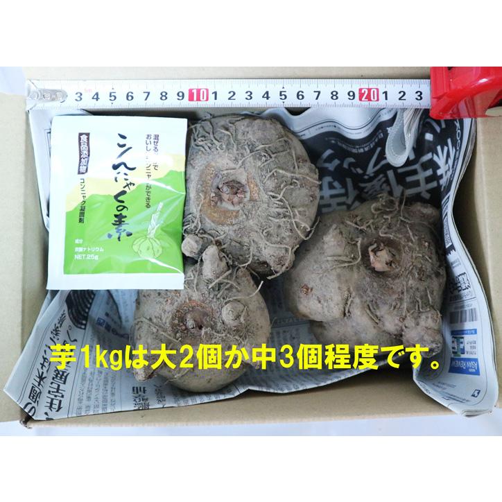 こんにゃく芋 茨城県産土つき 約1kg強(青果) こんにゃくの素1袋(25g)セット