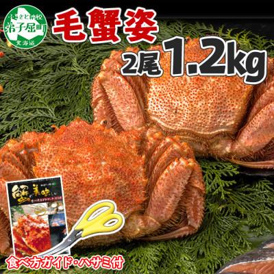 ふるさと納税 弟子屈町 毛蟹 姿 2尾 計1.2kg前後 ボイル 食べ方ガイド・専用ハサミ付 北海道 弟子屈町 1217