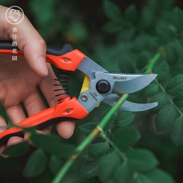 園藝大剪刀 塔莎的花園 史拉力通用枝剪臺灣園藝剪修花省力修剪樹枝粗枝剪『XY10600』