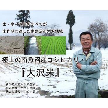 ふるさと納税 極上の南魚沼産こしひかり大沢米5kg(玄米) 新潟県南魚沼市