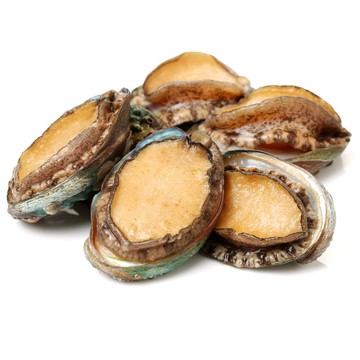 【RealShop 真食材本舖】日本岩見鮑魚 1kg/約24顆