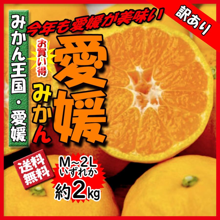 みかん 訳あり 箱買い 愛媛みかん 温州みかん 2ｋｇ 愛媛 みかん 送料無料