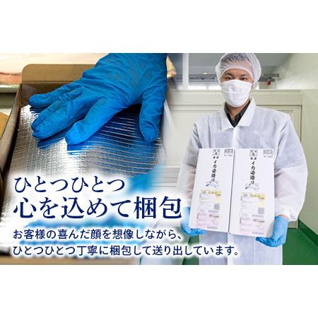 ふるさと納税 唐津呼子産いか活造り 1杯(約250g前後) 急速冷凍 新鮮そのまま食卓へ！イカ 刺身 簡単 ギフト 佐賀県唐津市