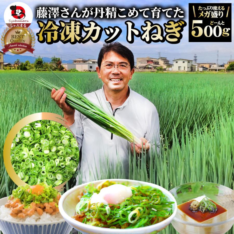 カットねぎ 500g ねぎ ネギ 藤澤さん家のカットねぎ 葱 冷凍 とれたてネギ 香川県産 冷凍野菜 時短 料理 簡単調理 包丁いらず