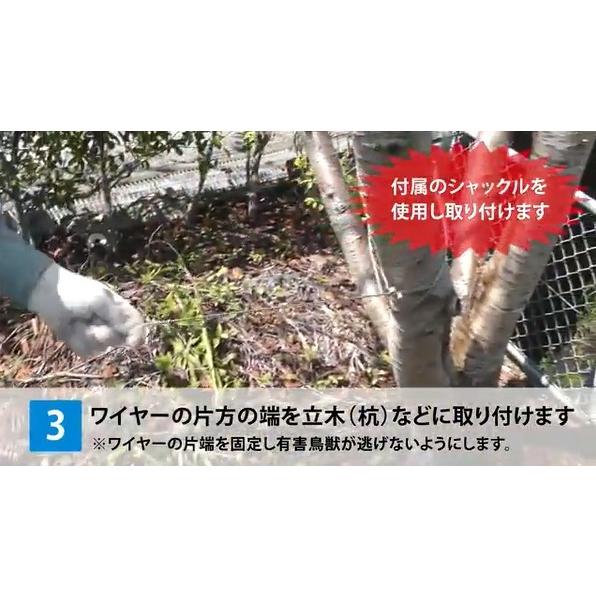 御用で御猿（ござる）　中小動物捕獲用のくくり罠　畑を荒らす猿の捕獲に！