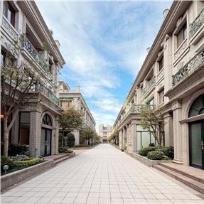 中悅天鵝堡-方正格局氣派電梯別墅-住商涂先生｜桃園市蘆竹區中山路