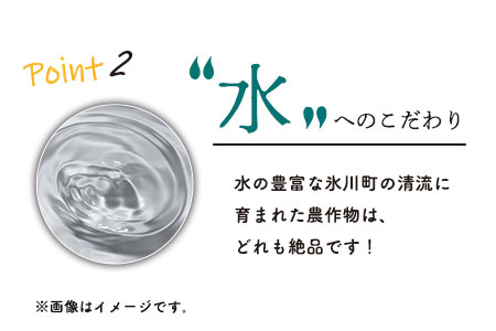 鋤先梨農園 の 梨じゃむ 3本セット 熊本県氷川町産《30日以内に順次出荷(土日祝除く)》---sh_skijam_30d_23_9000_3i--