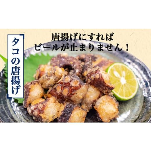 ふるさと納税 香川県 さぬき市 自社漁獲 ・ 自社加工の真ダコ(半身)約600g たこ タコ ボイル 国産 天然 刺身 しらす の 大塩水産 【 刺身 天ぷら 丼 パスタ 唐…