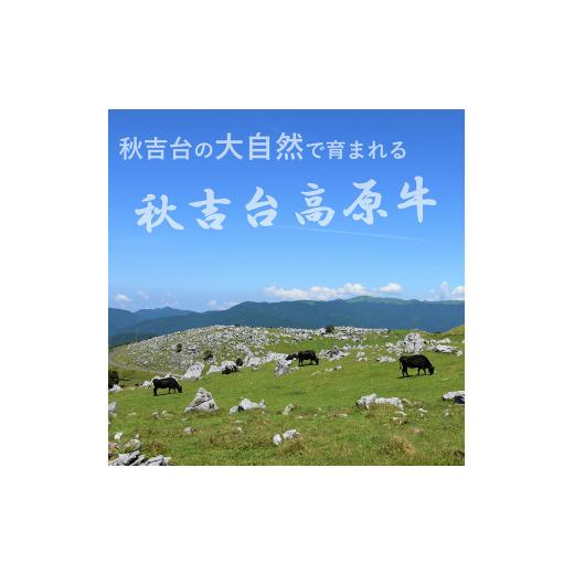 ふるさと納税 山口県 美祢市 数量限定 秋吉台高原牛 カタ／モモ 合計700g (約700g×1)