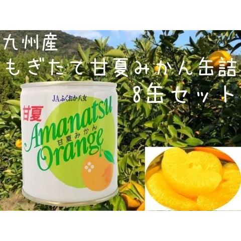 ギフト　お中元　お歳暮　お取り寄せスイーツ　九州産甘夏みかん使用　甘夏缶詰ギフト8缶　缶詰セット　フルーツ