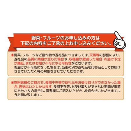 ふるさと納税 寿太郎 みかん 約 10kg 産地直送 柑橘 西浦 沼津 蜜柑　訳あり（寿太郎みかん 西浦 みかん 蜜柑 果物 みかん フルーツ みかん 柑橘.. 静岡県沼津市