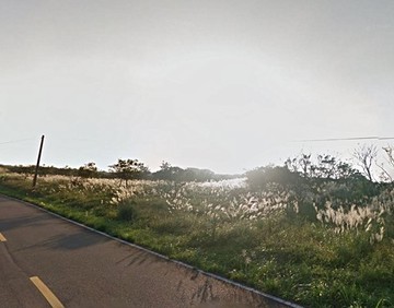 超大面寬雙線道地面平坦景觀地｜新北市石門區富貴角