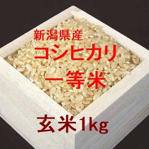 新潟県産コシヒカリ 一等米 玄米1kg （令和4年産）