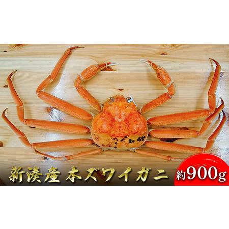 ふるさと納税 [特選]新湊産本ズワイガニ約900g 富山県射水市