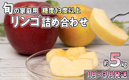 1～3月発送旬のリンゴ詰め合わせ 約5kg糖度13度以上